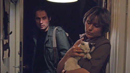 Aktorzy prowincjonalni Bild 5