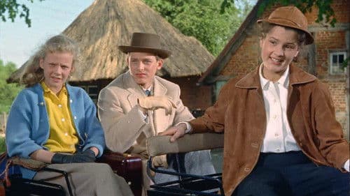 Die Mädels vom Immenhof Bild 3