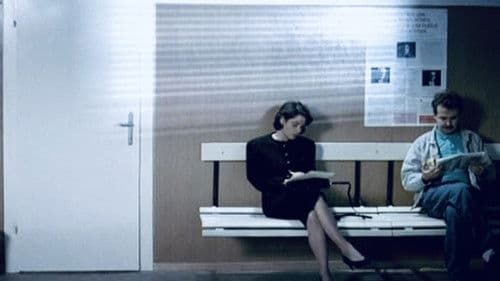 Der siebente Kontinent Bild 8