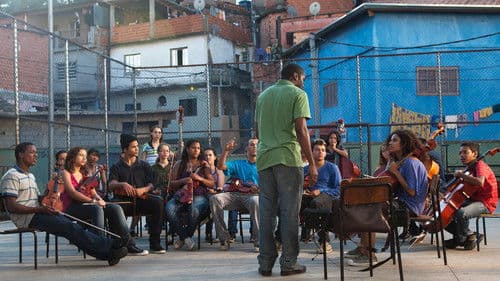 Das Orchester Bild 5