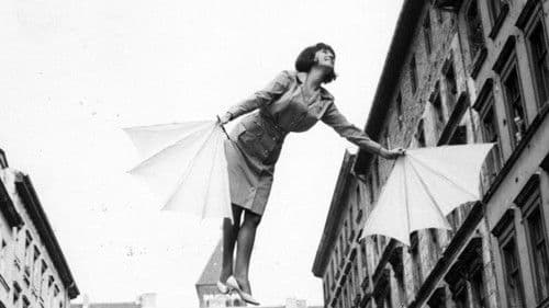 Fräulein Schmetterling Bild 1