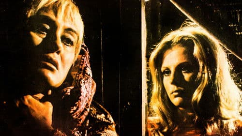 Bir Garip Yolcu Bild 2