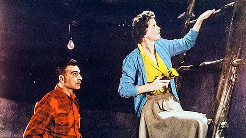 Beeil Dich zu leben Bild 1