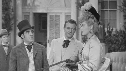 Lady for a Night Bild 5