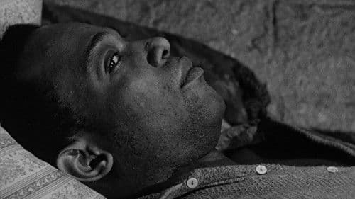 The Connection Bild 6