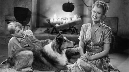 The Sun Comes Up Bild 1