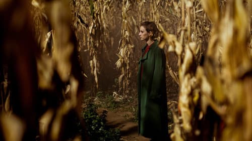 Man viskas gerai Bild 1