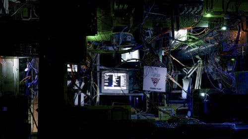 Quantum Suicide Bild 1