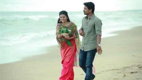 பண்டிகை Bild 8