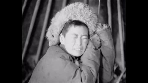 Аймшиггүй эх оронч Bild 1