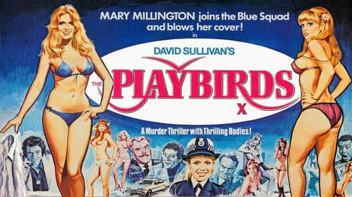 The Playbirds Bild 3