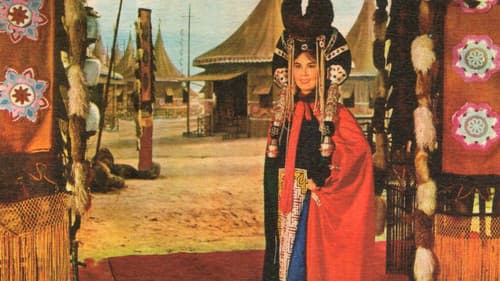 Wang zhao jun Bild 1