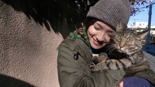 私は猫ストーカー Bild 2