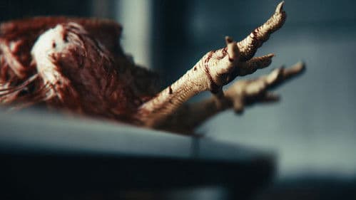 Chicken Curry Bild 3