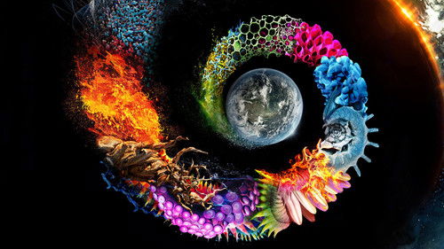 Will Smith - Wundersame Welt Bild 6