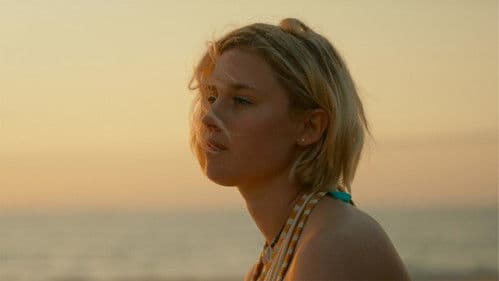 De l'or pour les chiens Bild 2