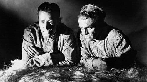 Todesangst bei jeder Dämmerung Bild 7