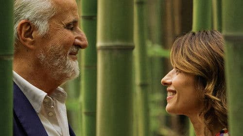 I limoni d'inverno Bild 7