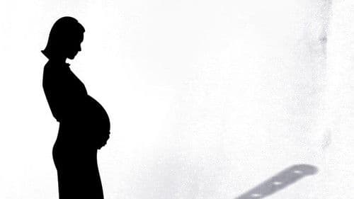 In der Falle der Leihmutter Bild 1