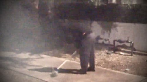 The Psycho Sister Returns! Bild 1