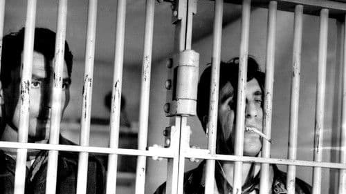 Der Henker nimmt Maß Bild 5