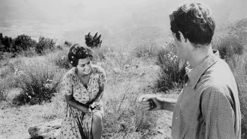 ...und dennoch leben sie Bild 6