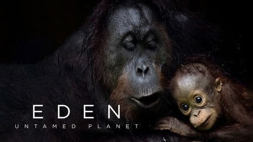 Eden: Untamed Planet Bild 6
