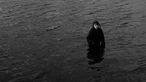 Der Navigator Bild 4