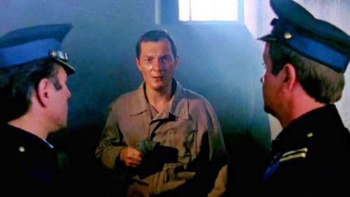 Rośliny trujące Bild 5