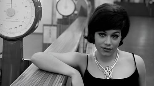 Die endlose Nacht Bild 1