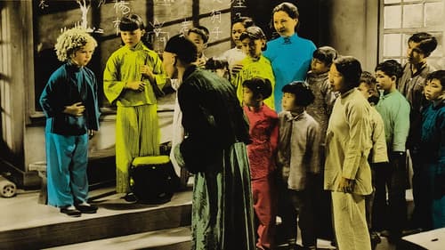 Sonnenscheinchen Bild 5