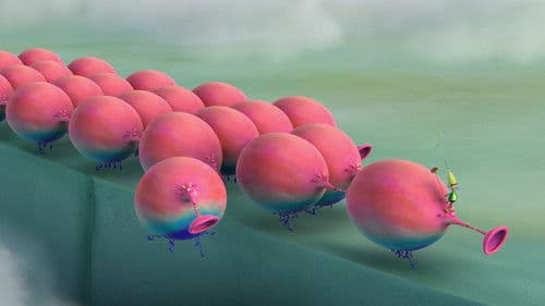 The Smortlybacks Bild 2