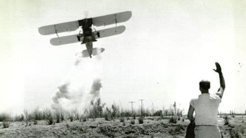 Lola, der blonde Teufel Bild 1