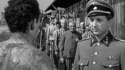 Der Boxer und der Tod Bild 2