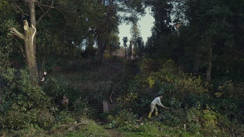 Die Zähmung der Bäume Bild 2