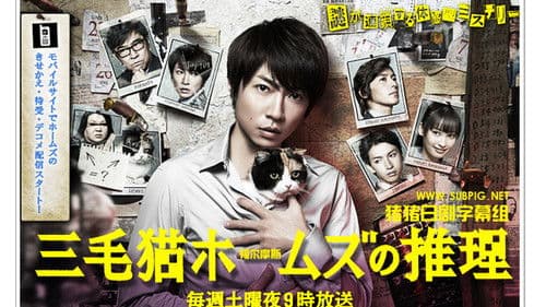三毛猫ホームズの推理 Bild 1