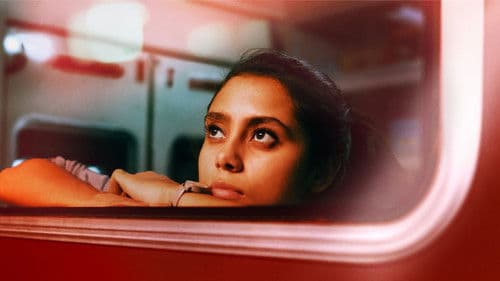 Midnight Family Bild 1