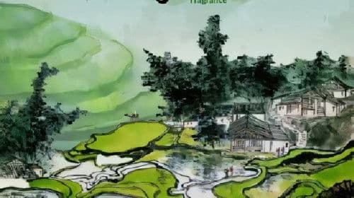 兴隆山下菜花香 Bild 1