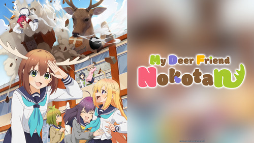 My Deer Friend Nokotan Bild 6