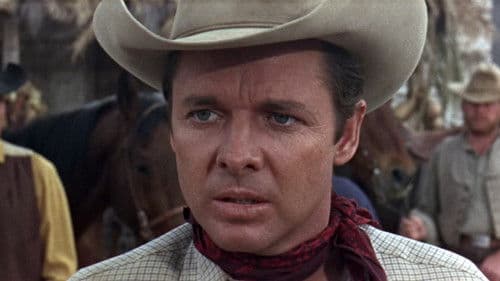 Goldtransport durch Arizona Bild 5