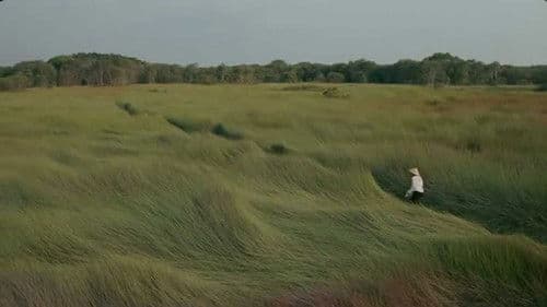 Cánh Đồng Bất Tận Bild 2