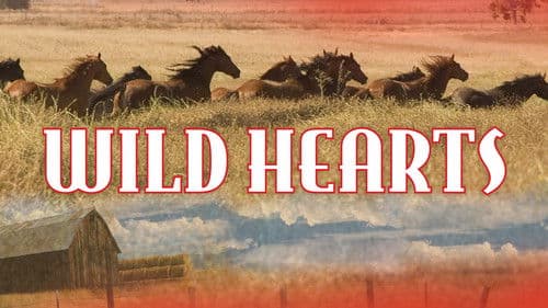 Wild Hearts Bild 3