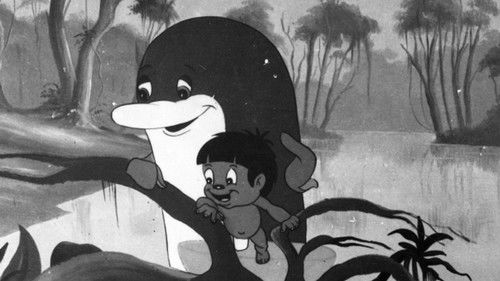 Sinfonia Amazônica Bild 1