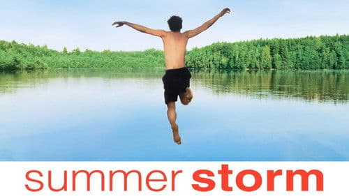 Sommersturm Bild 7