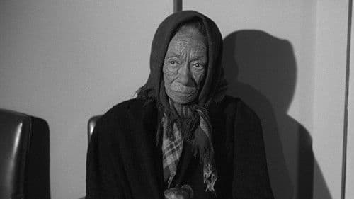 Der Fluch der Urwaldhexe Bild 2