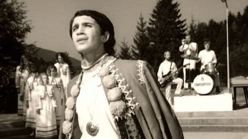 Вусатий фанк Bild 1