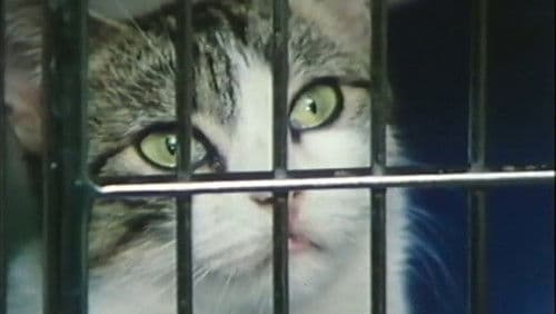 Parting Shots from Animals Bild 1