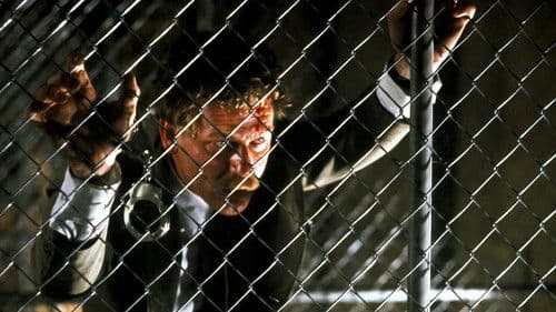 Nieten unter sich Bild 1