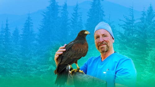 The Wild Life of Dr. Ole Bild 1