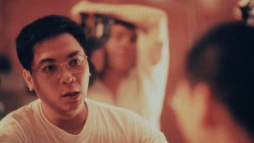 Yang ± Yin: Gender im chinesischen Kino Bild 3